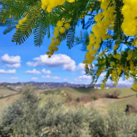 شقة Tuscany Hills La Veduta