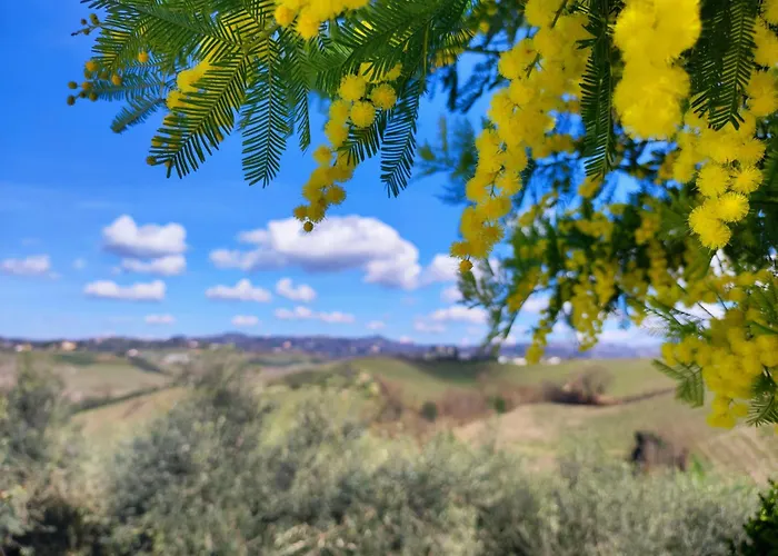 Apartment Tuscany Hills La Veduta